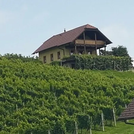 Mirt With Hottub & Sauna Vakantiehuis